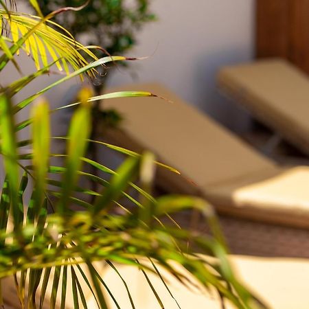 El Charco Suites أرّاثيفي المظهر الخارجي الصورة